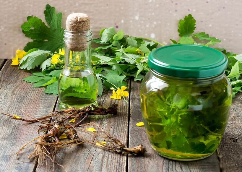 tincture celandine សម្រាប់ជំងឺក្រពេញប្រូស្តាត